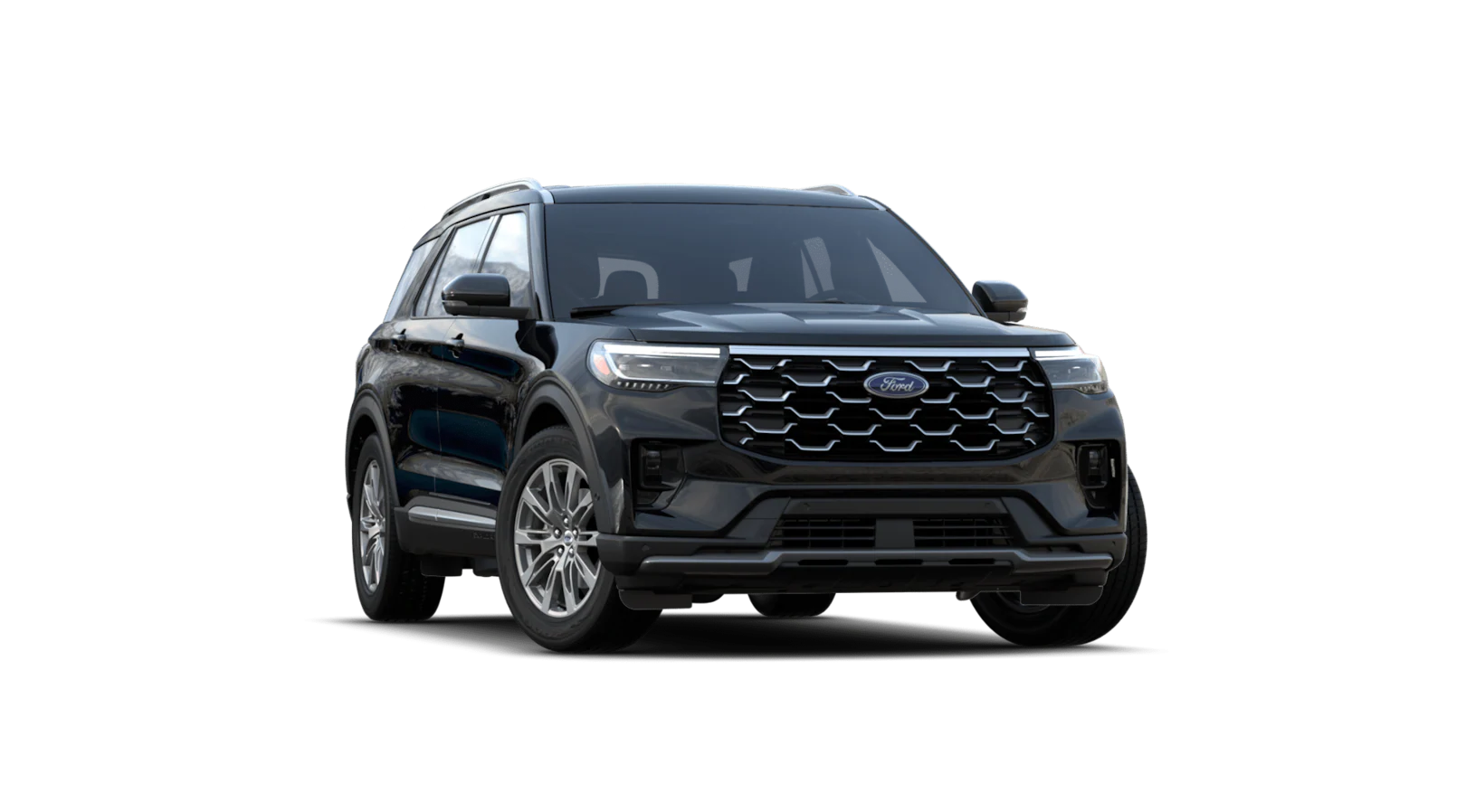 Platinum trim image